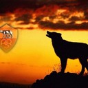 Аватар Abl