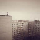 Аватар den20