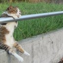 Аватар dfylth
