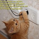 Аватар Egoza