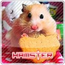 Аватар HAMSTER