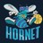 Аватар hornet_33