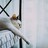 Аватар Jule_m