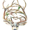 Аватар kjk