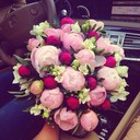 Аватар koren_like