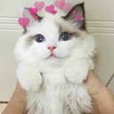 Аватар Ksu_Garvin