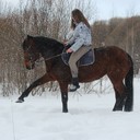 Аватар LiverenJus