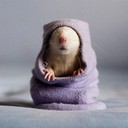 Аватар maz_leshyj