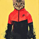 Аватар mitroflex