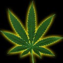 Аватар Monsieur_Cannabis