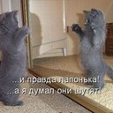 Аватар prolinetka