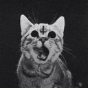 Аватар Raccoon_Bankrup