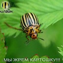 Аватар TWISTER