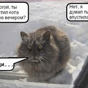 Аватар Vera2012Kamar