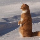 Аватар zyk_08