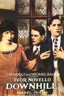 Постер фильма По наклонной плоскости (1927)