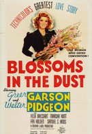 Цветы в пыли (1941)