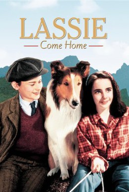 Постер фильма Лесси возвращается домой (1943)