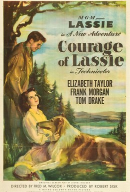 Постер фильма Храбрость Лэсси (1946)