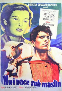 Постер фильма Нет мира под оливами (1950)