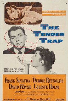 Постер фильма Нежный капкан (1955)