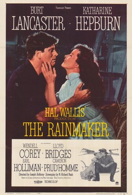 Постер фильма Продавец дождя (1956)