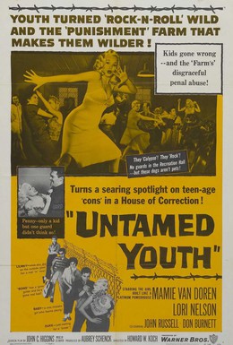 Постер фильма Неукротимая молодежь (1957)