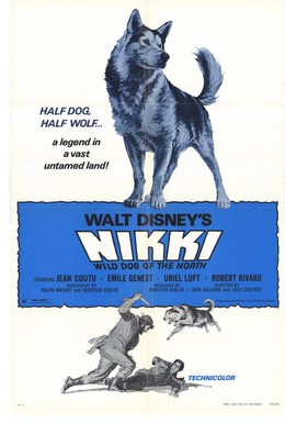 Постер фильма Дикий пес Севера (1961)