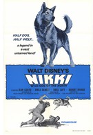 Дикий пес Севера (1961)