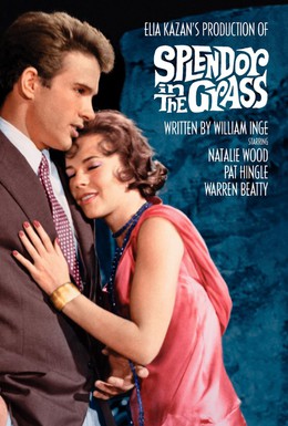 Постер фильма Великолепие в траве (1961)