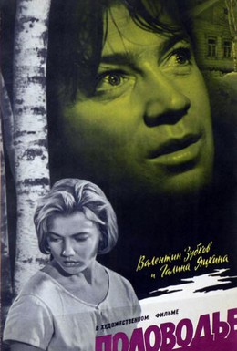 Постер фильма Половодье (1963)