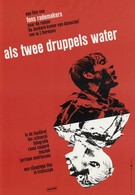 Как две капли воды (1963)
