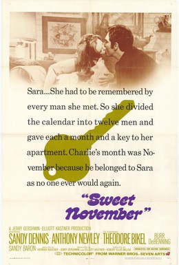 Постер фильма Сладкий ноябрь (1968)