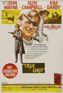 Постер фильма Настоящее мужество (1969)