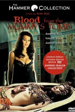 Постер фильма Кровь из гробницы мумии (1971)