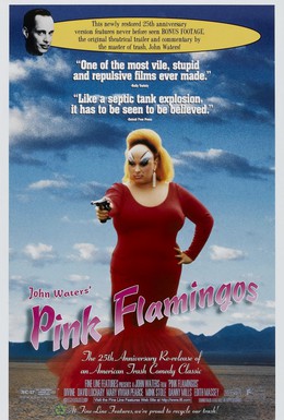Постер фильма Розовые фламинго (1972)