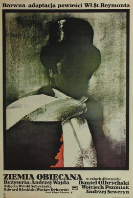 Постер фильма Земля обетованная (1975)