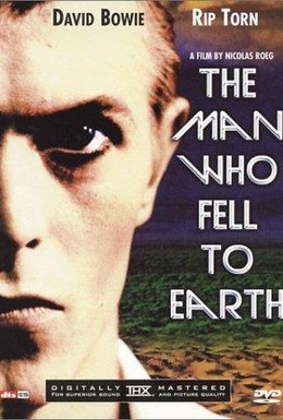 Постер фильма Человек, который упал на Землю (1976)