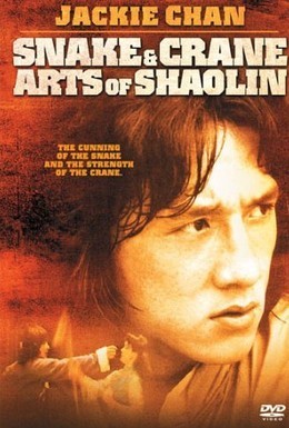 Постер фильма Искусство Шаолиня – змея и журавль (1978)