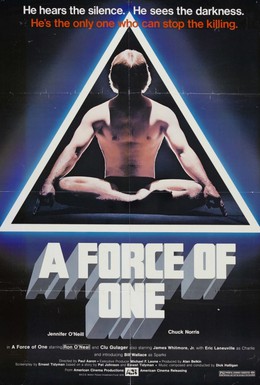 Постер фильма Сила одиночки (1979)