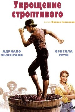 Постер фильма Укрощение строптивого (1980)