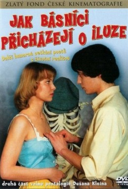Постер фильма Как поэты теряют иллюзии (1985)