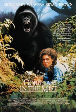 Постер фильма Гориллы в тумане (1988)
