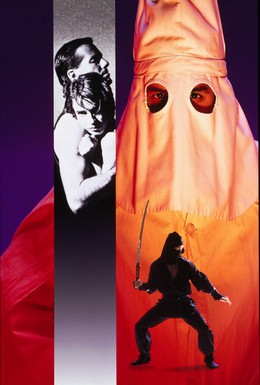 Постер фильма Месть ниндзя (1993)