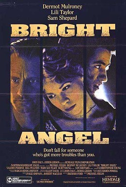 Постер фильма Светлый ангел (1990)