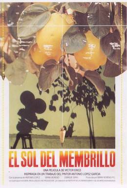 Постер фильма Солнце в листве айвового дерева (1992)
