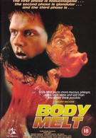 Расплавленное тело (1993)