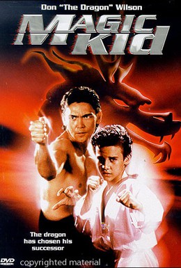 Постер фильма Ниндзя-драконы (1993)