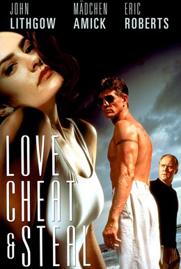Постер фильма Любовь, измена и воровство (1993)