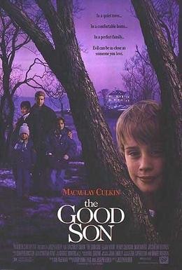 Постер фильма Добрый сынок (1993)